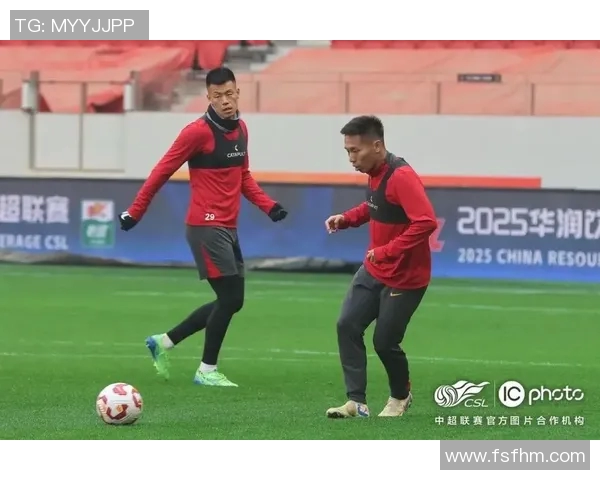 长春足球崛起之路探秘球迷热情与城市发展的完美结合